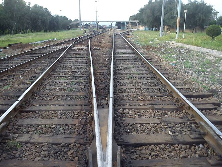 ۱۹۷۹۳۰۶_۲۸۹۴۵۵۱۰۷۸۷۶۶۳۸_۱۹۰۹۶۰۶۱۸۷_o