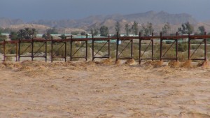 حسین محمدی فرد