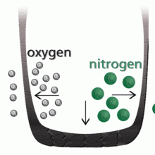 nitrogen_8CE44683A64CB3F1