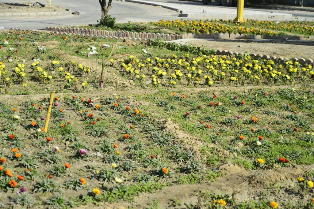 photo_2017-01-16_10-41-24